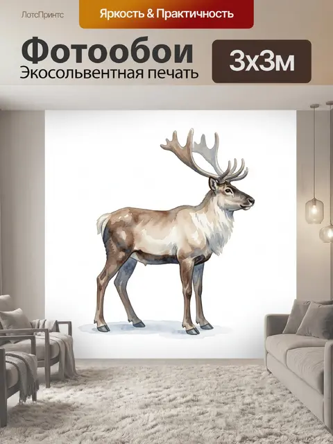 300 × 300 см · Экосольвентная печать
