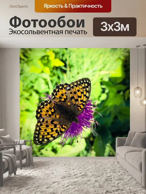 Фотообои Бабочки