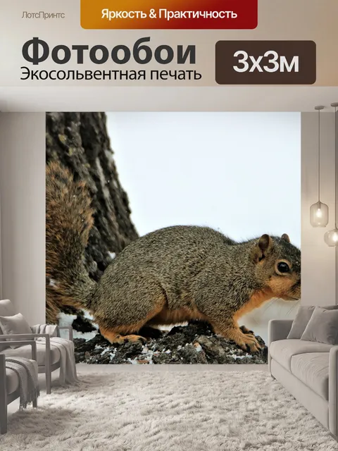 Фотообои Фокс Белка на снежном дереве