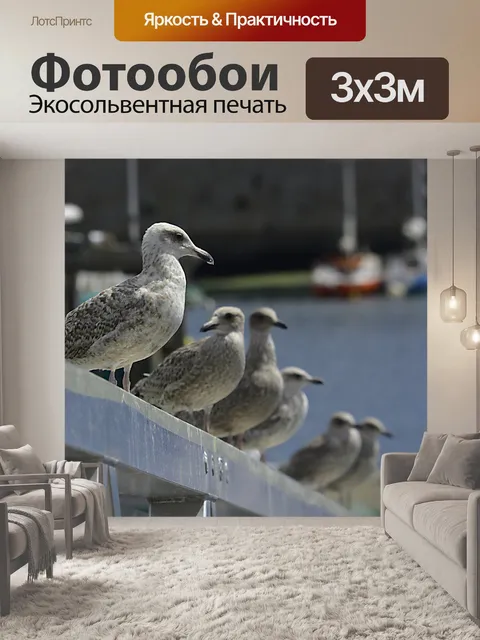 Фотообои Чайки
