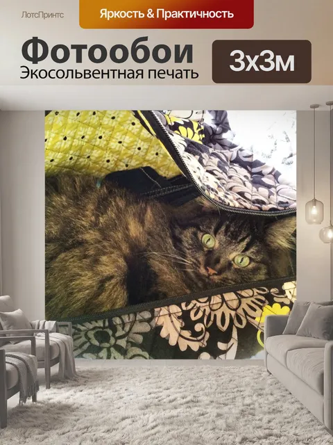 Фотообои Кошачий