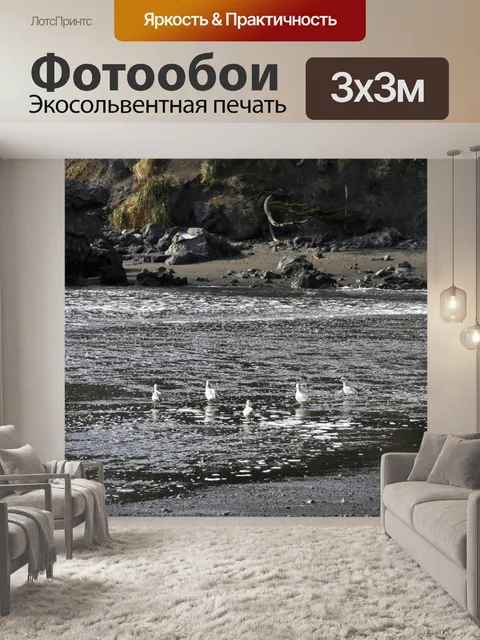 Фотообои Чайки на берегу