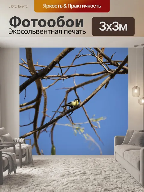 Фотообои Птица
