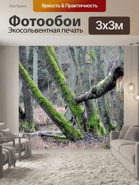Фотообои Лес