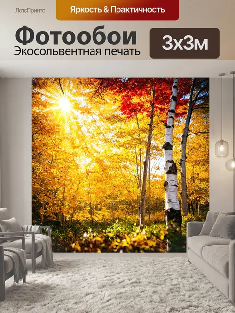 Фотообои с березой на фоне осеннего леса, яркие желтые и красные листья, лучи солнца пробиваются сквозь деревья