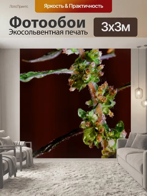 Фотообои Ботаника