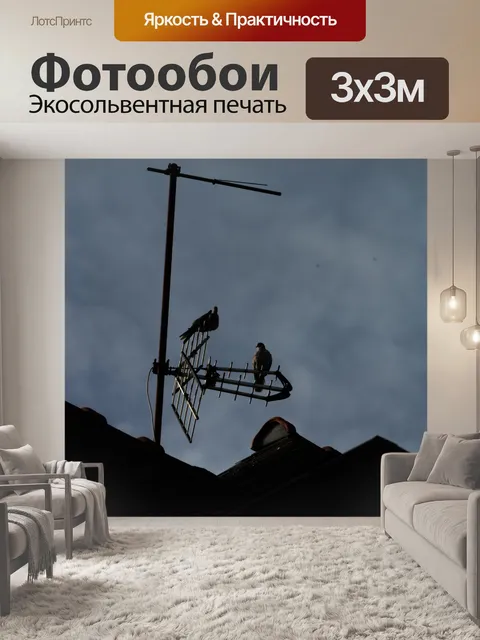 Фотообои Голуби и телевизионная антенна