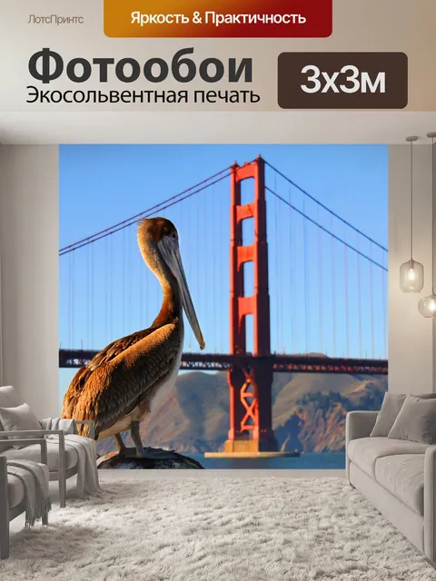 Фотообои Пеликан