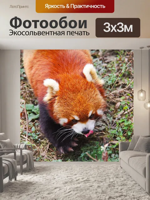 Фотообои Милый