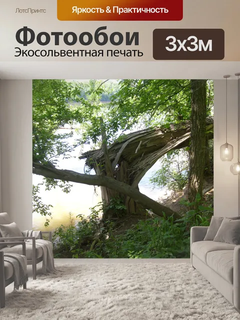 Фотообои Tree down