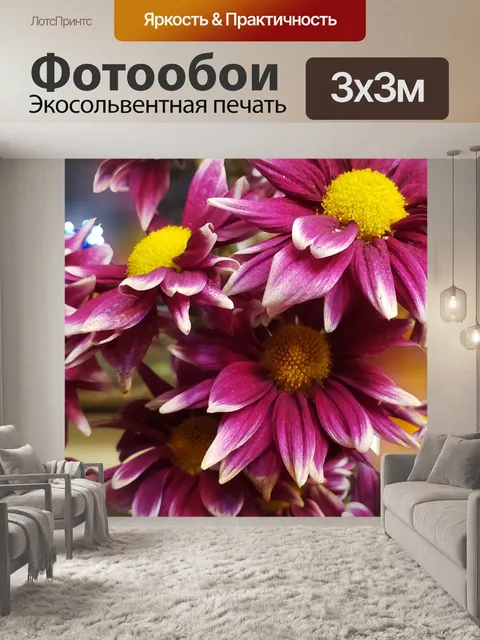 Фотообои Ромашки