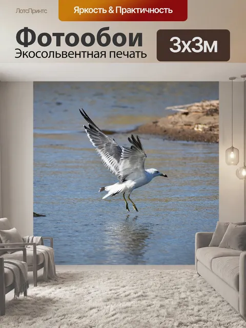 Фотообои Животное