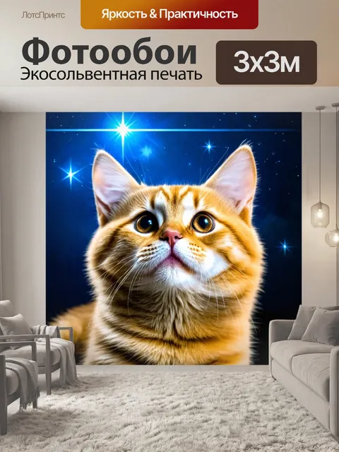 Фотообои котик, позирующий на фоне яркого ночного звездного неба, поднимая голову к звездам