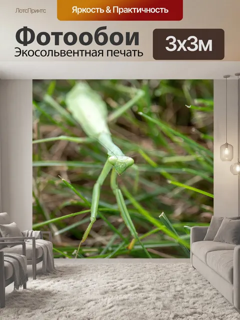 Фотообои Молиться
