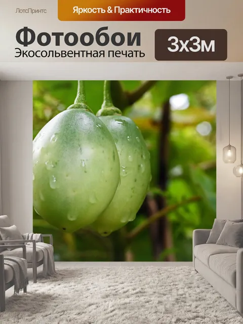 Фотообои Овальное зеленое дерево помидор фрукты