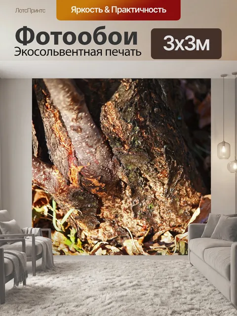Фотообои основа орехового дерева пекан и сухие ли