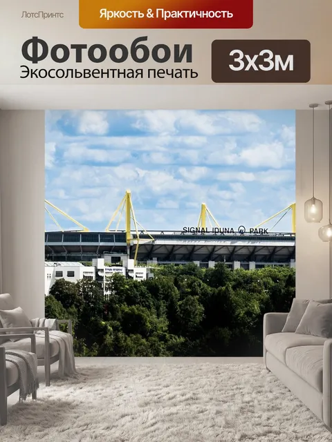 Фотообои Стадион