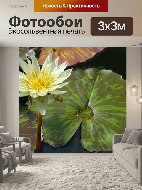 Фотообои Водяная лилия