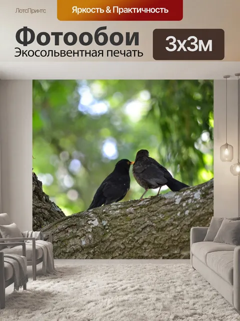 Фотообои Люблю птиц