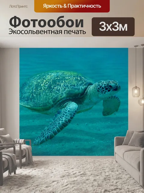 Фотообои Черепаха