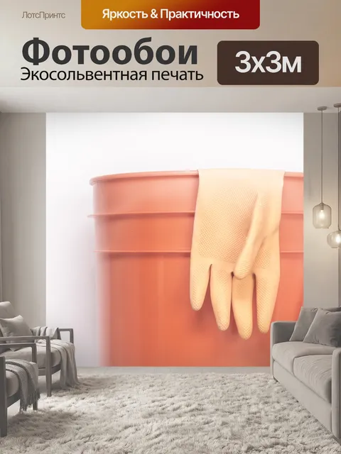 Фотообои Мечтать о чистке