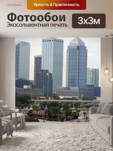 Фотообои Тампа