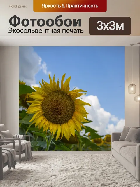Фотообои Поле подсолнухов