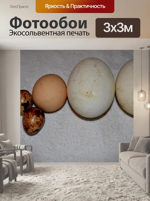 Фотообои Птица Яйца
