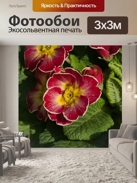 Фотообои Первоцветы