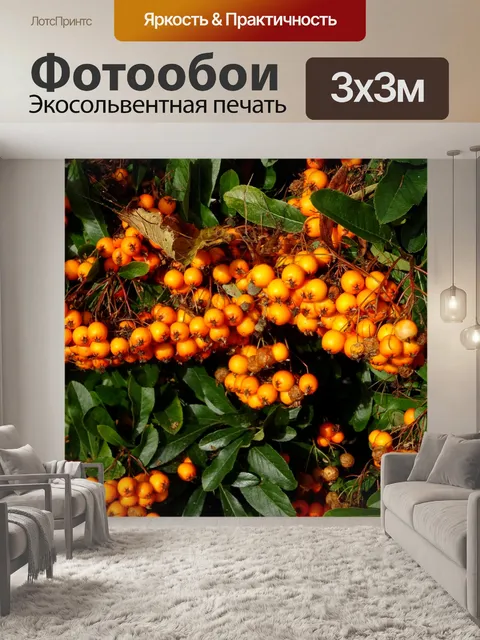 Фотообои Осенняя осень Флора Ягоды