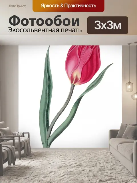 Фотообои Винтажная иллюстрация цветочного искусст