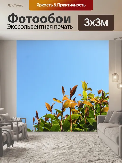 Фотообои камелии новую лампу и уходит голубые S