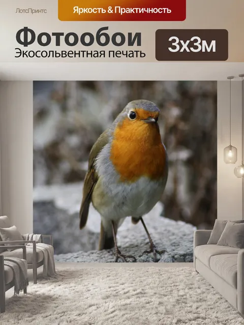 Фотообои Птица