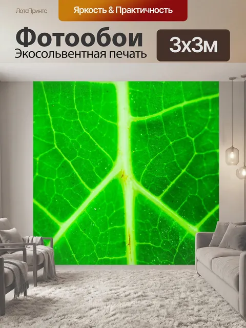 Фотообои Зеленый лист фон