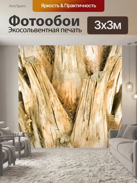 Фотообои Палм текстуры ствола дерева