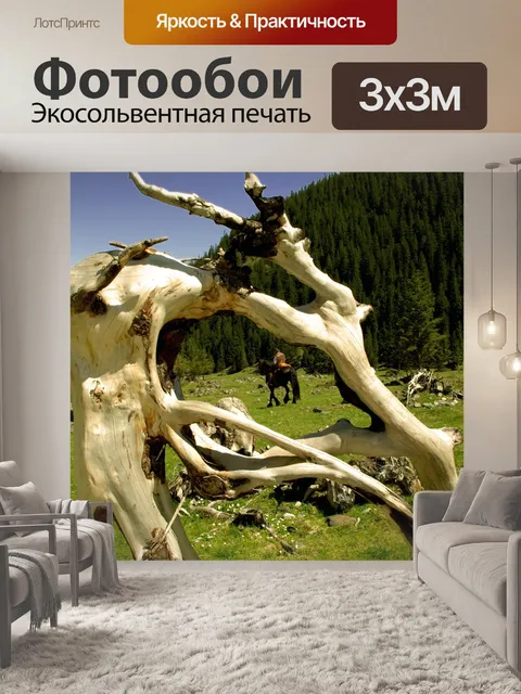 Фотообои Корень