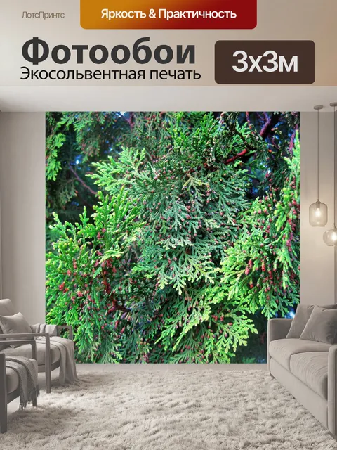 Фотообои хвойные ветки