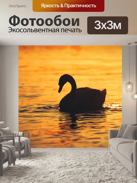 Фотообои Лебедь волны вода солнце