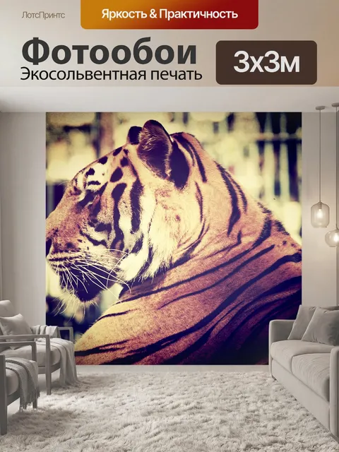 Фотообои тигр в зоопарке Таиланда
