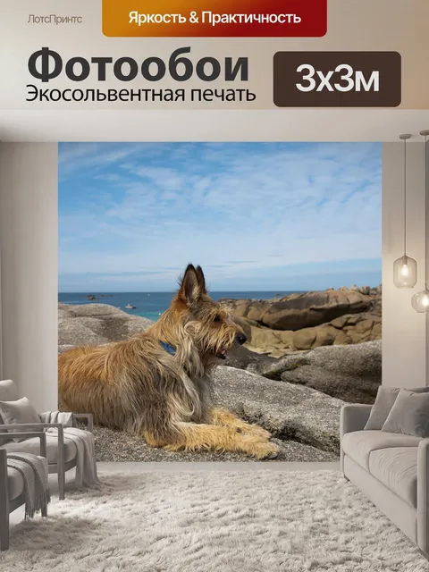 Фотообои Франция