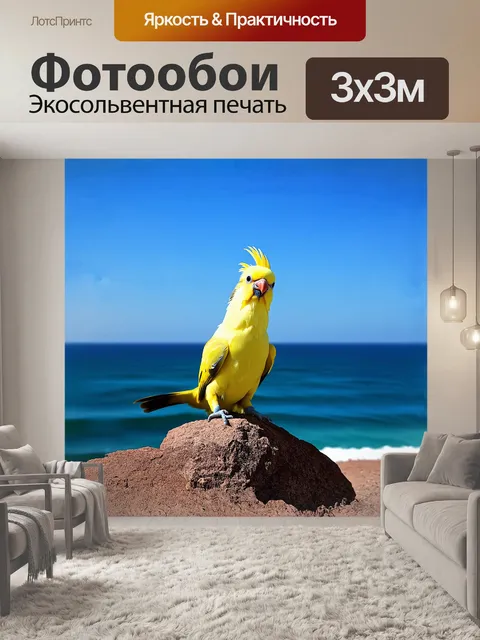 Фотообои корелла, восседающая на скале у моря, с ярким оперением, контрастирующим с голубизной неба и океана