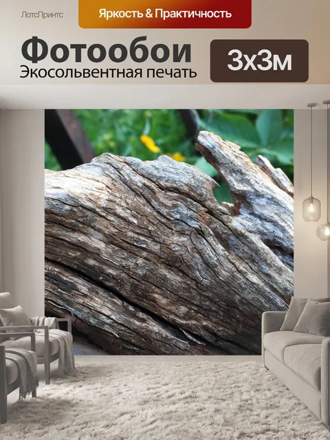 Фотообои сухостой с текстурой и трещинами