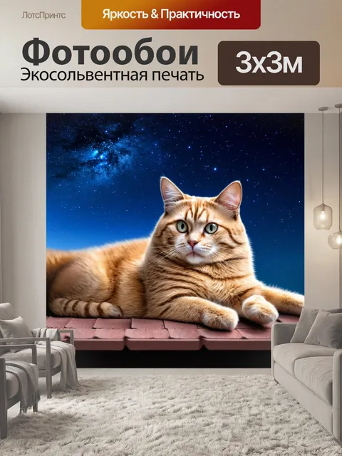 Фотообои кошка, лежащая на крыше в звездную ночь, окруженная миром и спокойствием, яркие звезды на небе