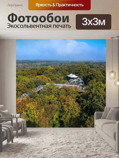 Фотообои Тропинка на верхушках деревьев