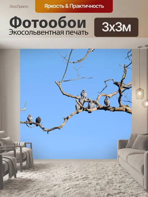 Фотообои Пейзаж