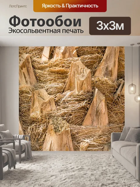 Фотообои Палм текстуры ствола дерева