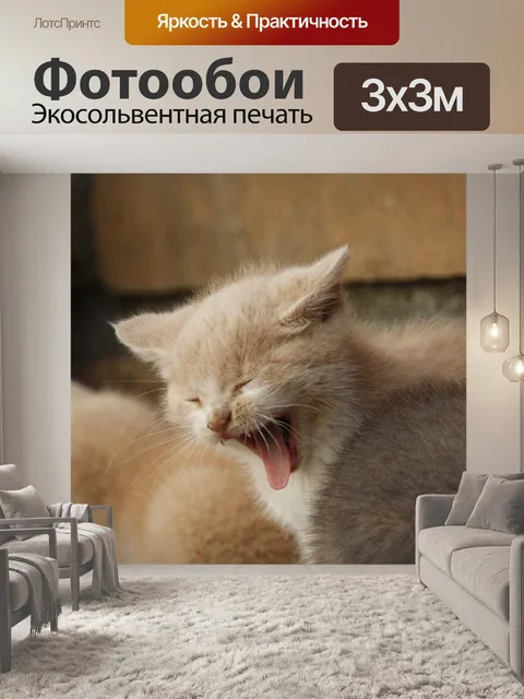Фотообои Животное