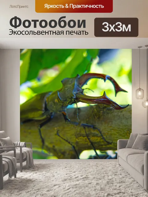 Фотообои Жук-олень