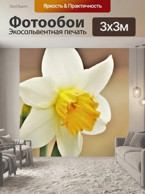 Фотообои Белый нарцисс крупным планом 2