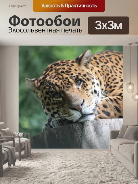 Фотообои Леопард